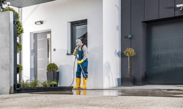 Best Animal Enclosure Cleaning  in Filer, ID